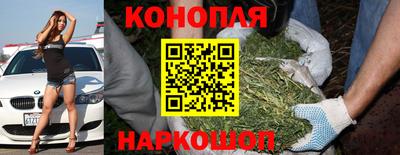 прущие крисы Бузулук