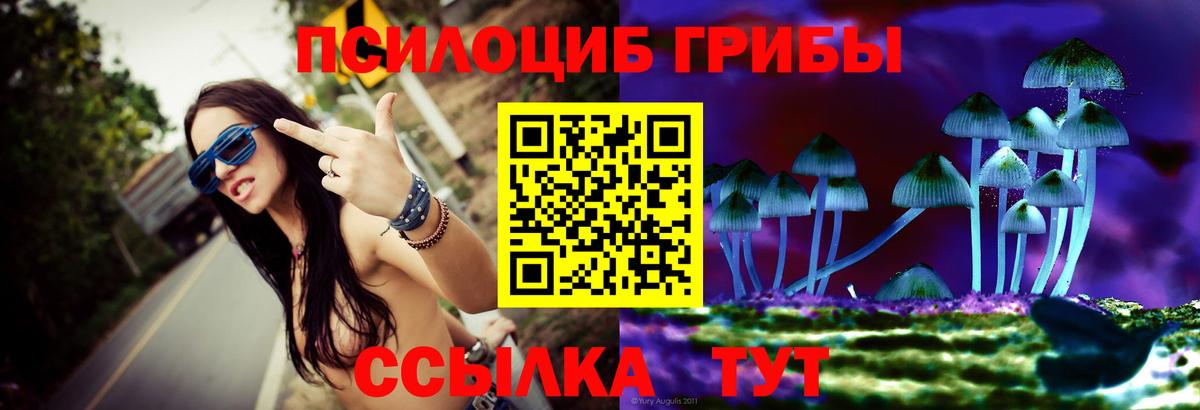 Галлюциногенные грибы MAGIC MUSHROOMS  Галлюциногенные грибы прущие грибы  Кулебаки  наркота  Вход с VPN 